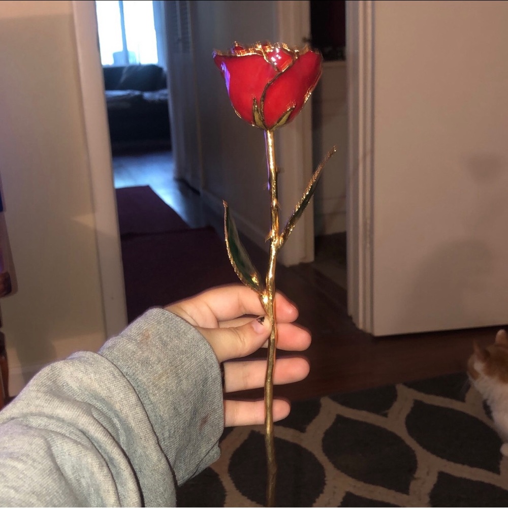Forever rose